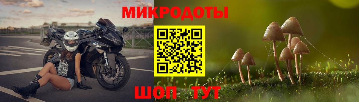 Ржев  Псилоцибиновые грибы Psilocybe  Вход с VPN 